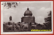 Beskydy - Kaple na Radhošti, ovce