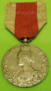 Belgie - Médaille En Souvenir de sa Collaboration 1914-1918