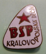 BSP Královopolská Děčín