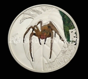 Cook Islands - 2 Dollars - 2013 - Brazilský pavouk