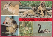 Hodonín - Zoopark