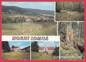 Horní Lomná - Beskydy - obec, prales, restaurace, rekr. středisko