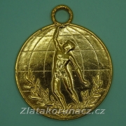 Mistrovství republiky - Zlatá medaile