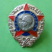 Odznak - Vzorný voják (hliník)