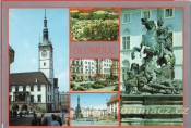 Olomouc - květiny, náměstí