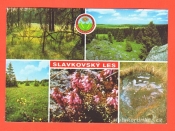 Slavkovský les