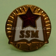 SSM I- III.