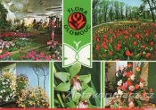 Olomouc - Flora - vnitřní expozice